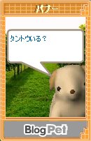タントウいる?.jpg