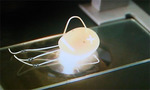 実写もやしもん4_大腸菌.jpg