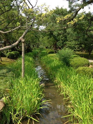 兼六園4.jpg