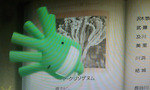 実写もやしもん7_ED.jpg